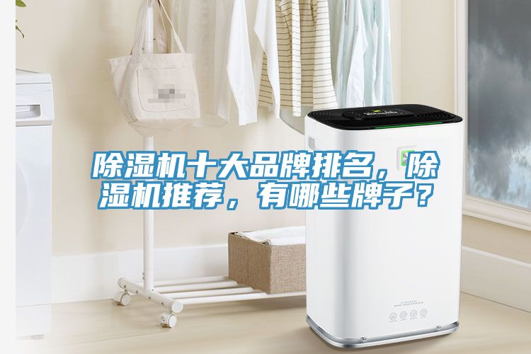 除濕機(jī)十大品牌排名，除濕機(jī)推薦，有哪些牌子？