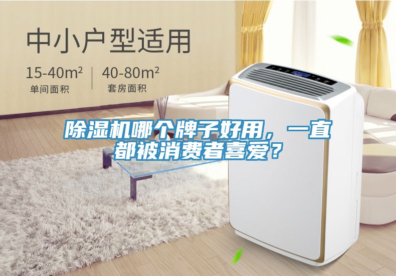 除濕機(jī)哪個(gè)牌子好用，一直都被消費(fèi)者喜愛(ài)？