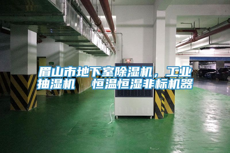 眉山市地下室除濕機，工業(yè)抽濕機  恒溫恒濕非標(biāo)機器