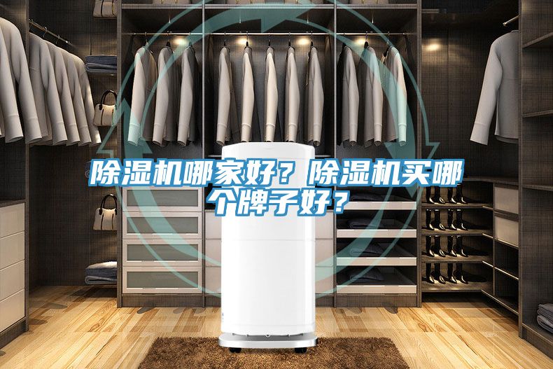 除濕機(jī)哪家好？除濕機(jī)買(mǎi)哪個(gè)牌子好？