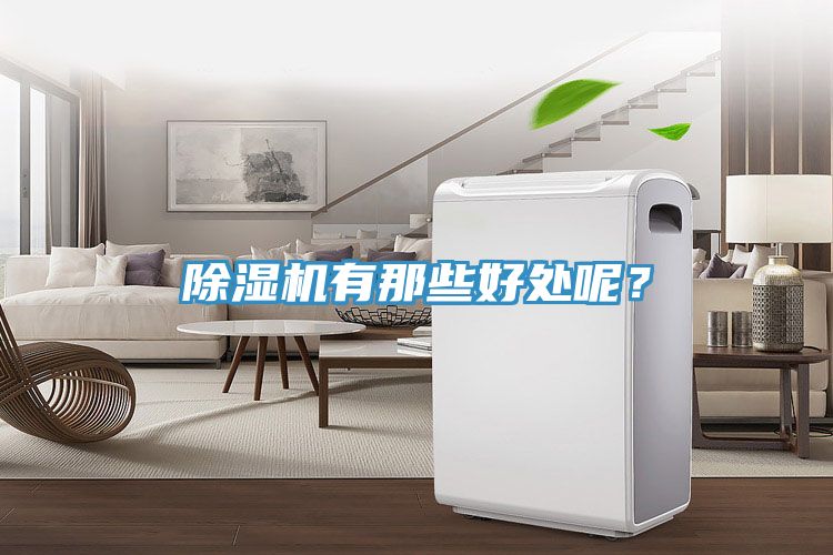 除濕機有那些好處呢？