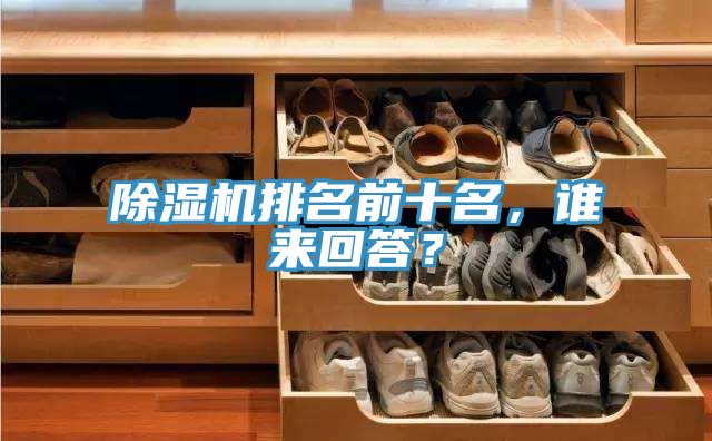 除濕機排名前十名，誰來回答？