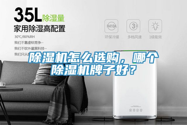 除濕機(jī)怎么選購(gòu)，哪個(gè)除濕機(jī)牌子好？