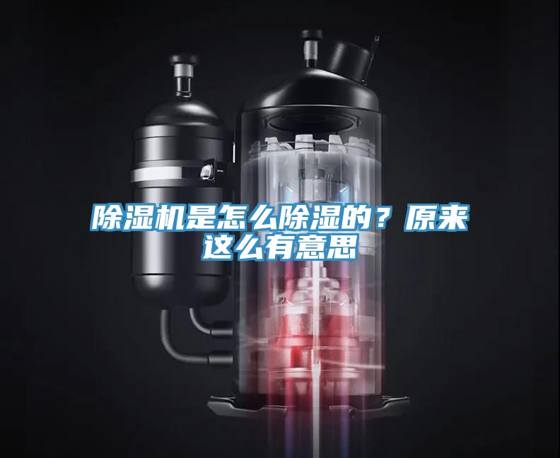 除濕機是怎么除濕的？原來這么有意思