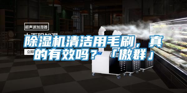 除濕機(jī)清潔用毛刷，真的有效嗎？「傲群」