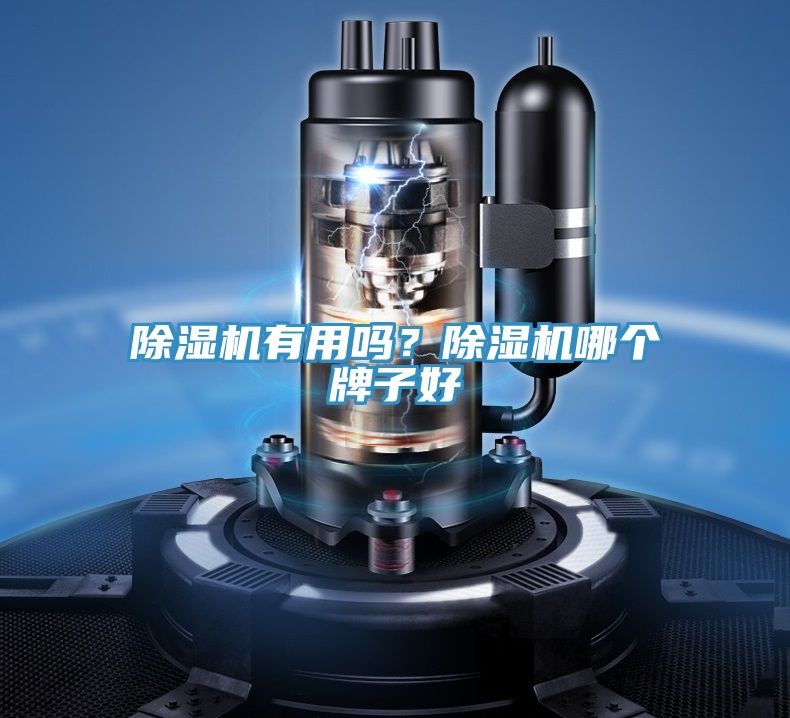 除濕機(jī)有用嗎？除濕機(jī)哪個牌子好