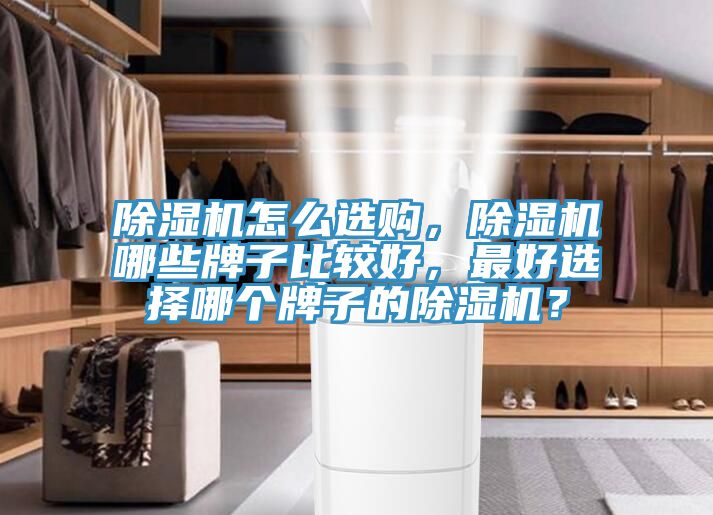 除濕機(jī)怎么選購(gòu)，除濕機(jī)哪些牌子比較好，最好選擇哪個(gè)牌子的除濕機(jī)？