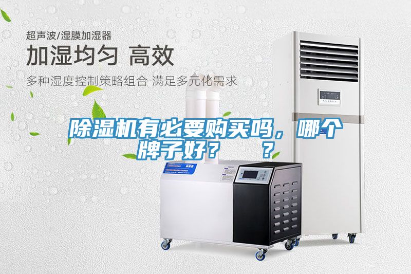 除濕機(jī)有必要購買嗎，哪個牌子好？  ？