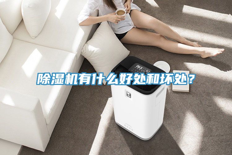 除濕機有什么好處和壞處？