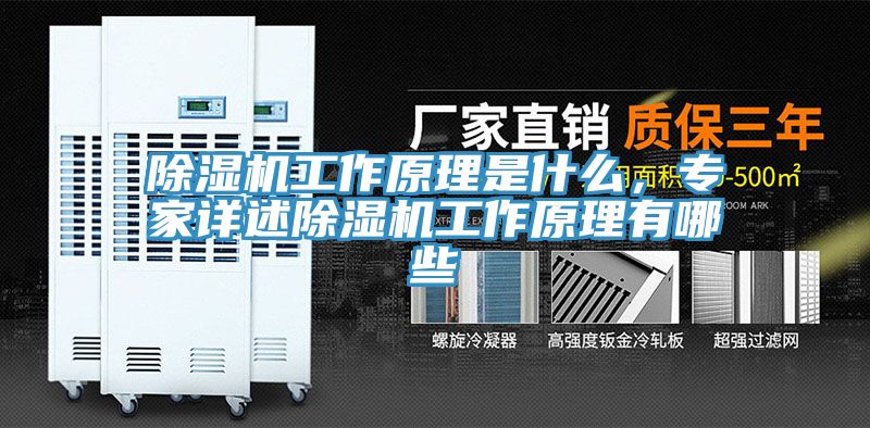 除濕機(jī)工作原理是什么，專家詳述除濕機(jī)工作原理有哪些