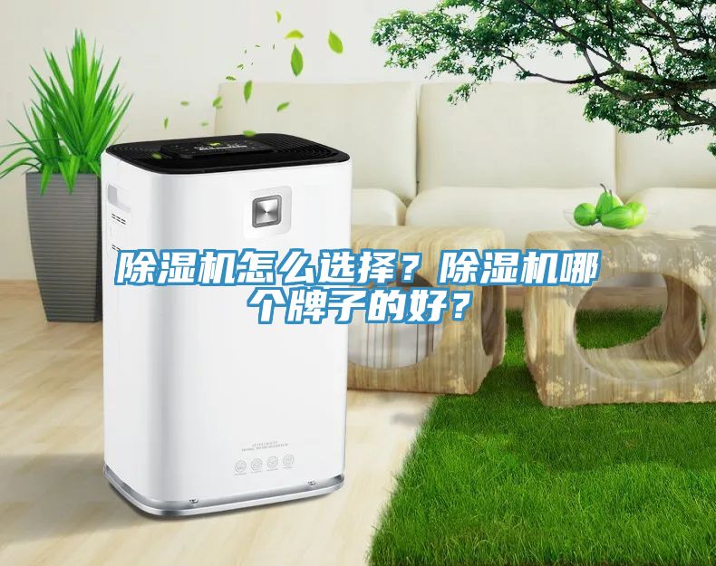 除濕機(jī)怎么選擇？除濕機(jī)哪個(gè)牌子的好？