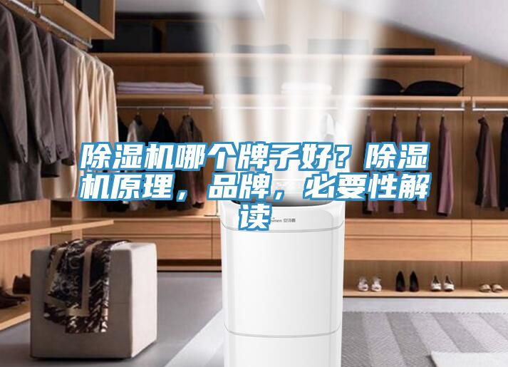 除濕機哪個牌子好？除濕機原理，品牌，必要性解讀