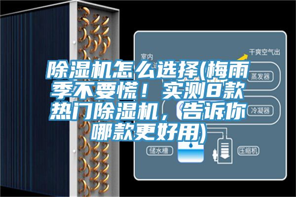 除濕機(jī)怎么選擇(梅雨季不要慌！實(shí)測(cè)8款熱門(mén)除濕機(jī)，告訴你哪款更好用)