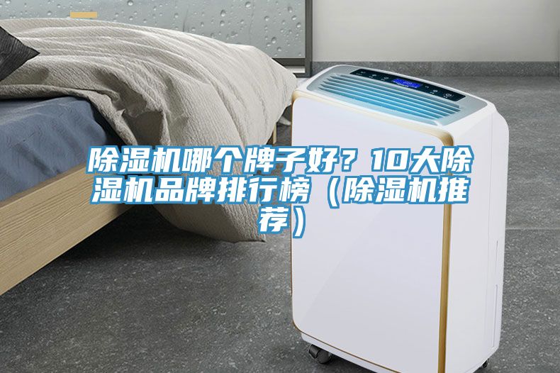 除濕機哪個牌子好？10大除濕機品牌排行榜（除濕機推薦）