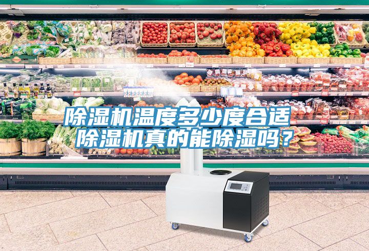 除濕機溫度多少度合適 除濕機真的能除濕嗎？