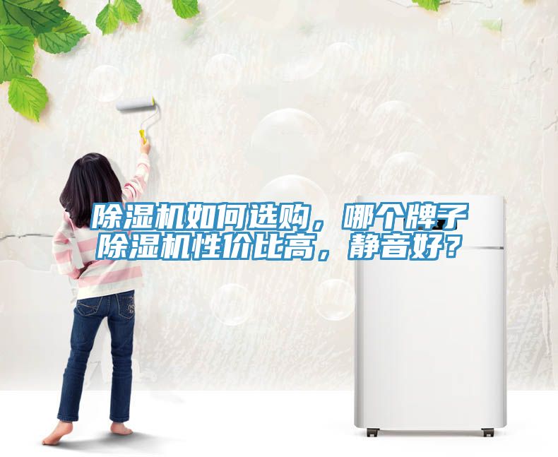 除濕機(jī)如何選購，哪個(gè)牌子除濕機(jī)性價(jià)比高，靜音好？